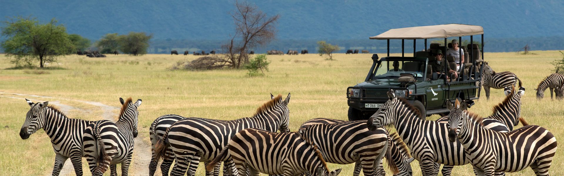 10 Day Honeymoon Safari