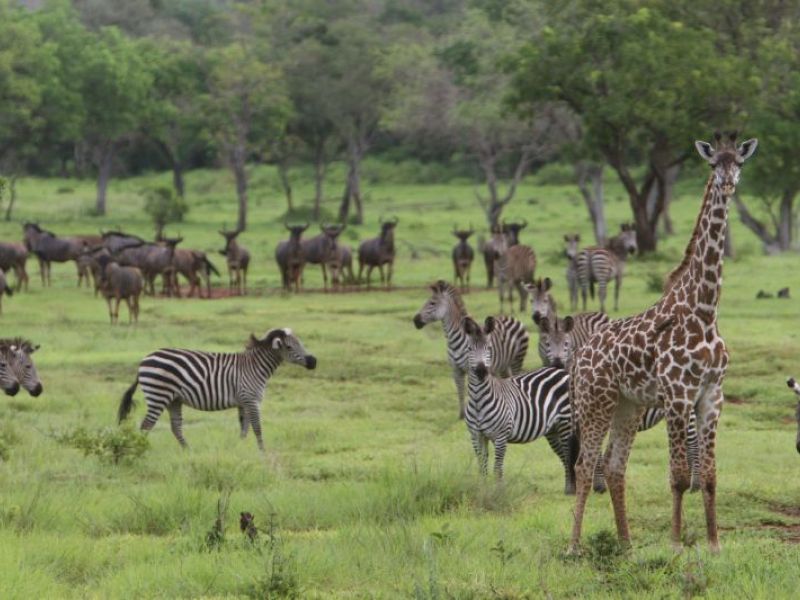2 Days Naivasha Safari Package
